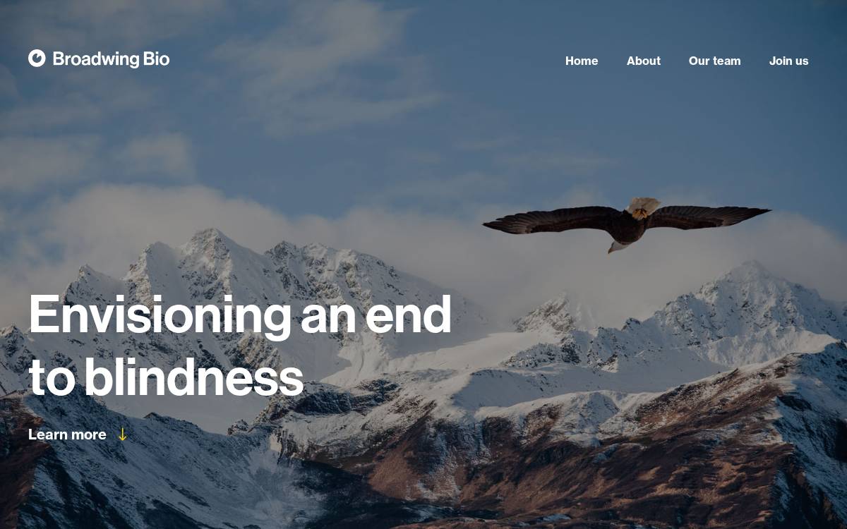 Broadwing website preview