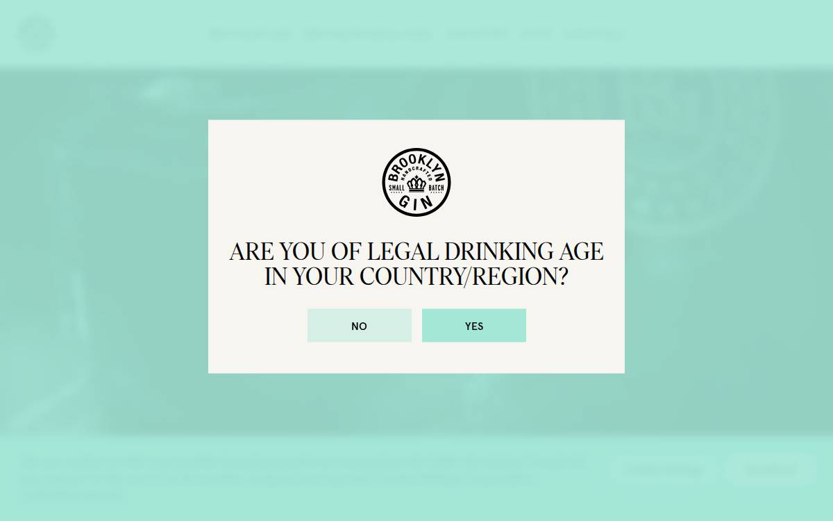 Brooklyngin website preview
