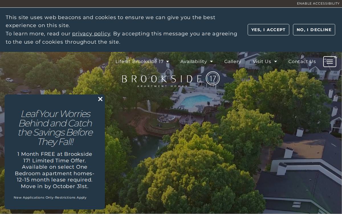 Brookside 17 website preview