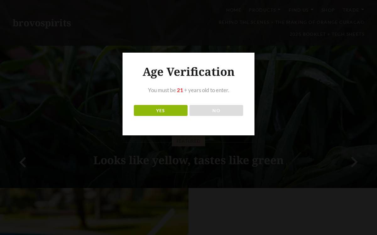 Brovospirits website preview