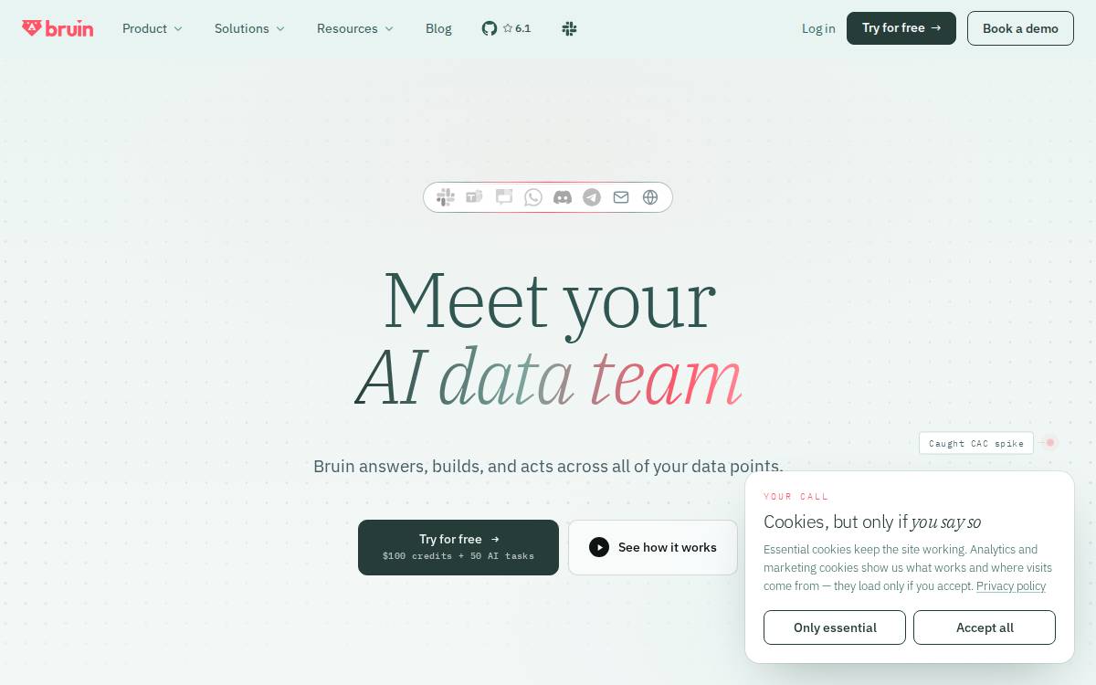 Bruin website preview