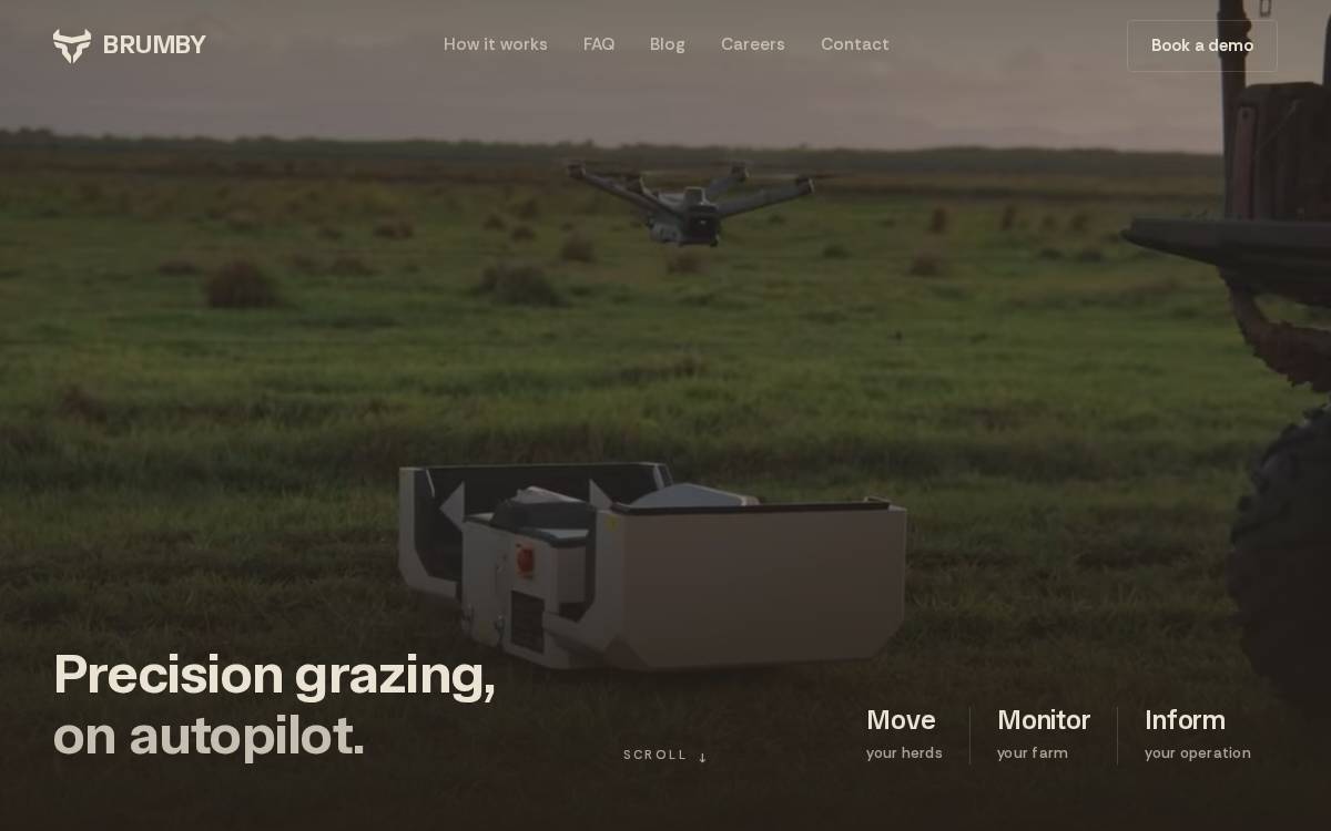 Brumby website preview