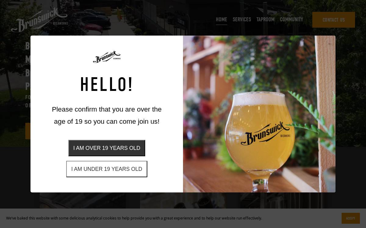 Brunswick website preview