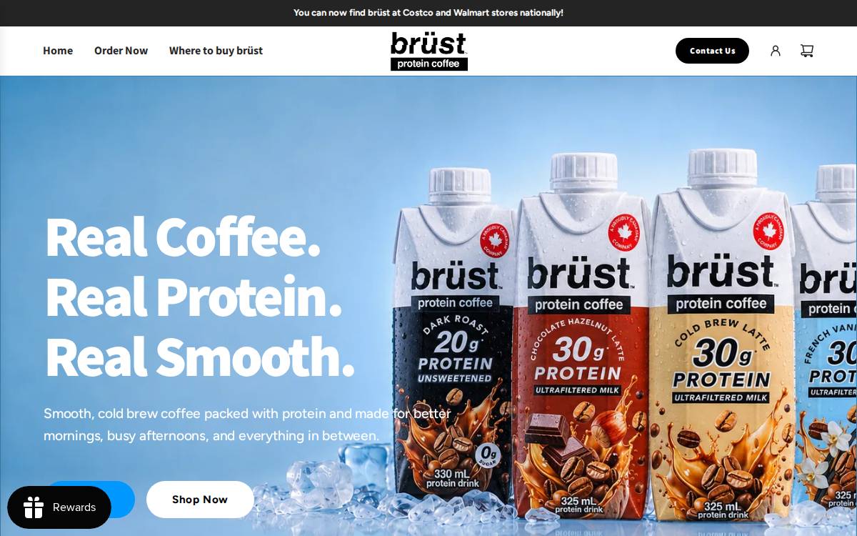 brüst website preview