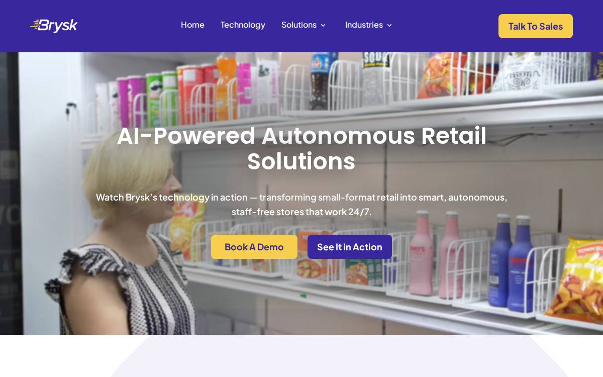 Brysk website preview