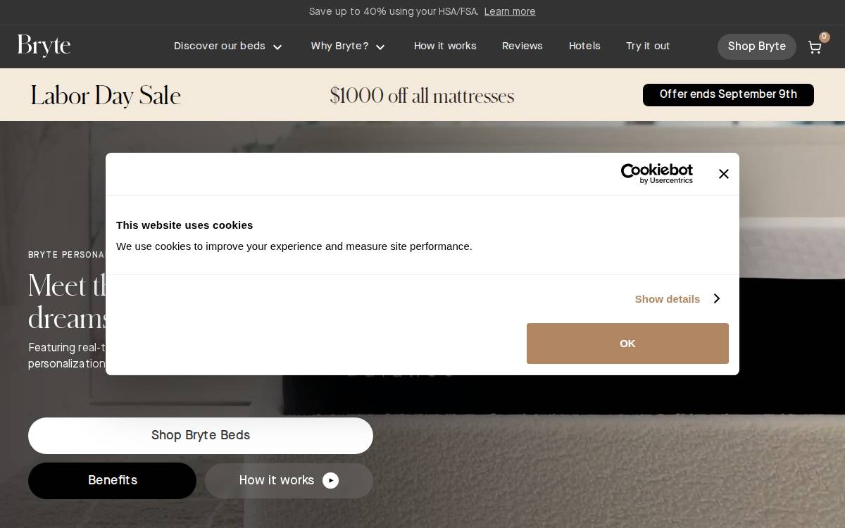 Bryte website preview