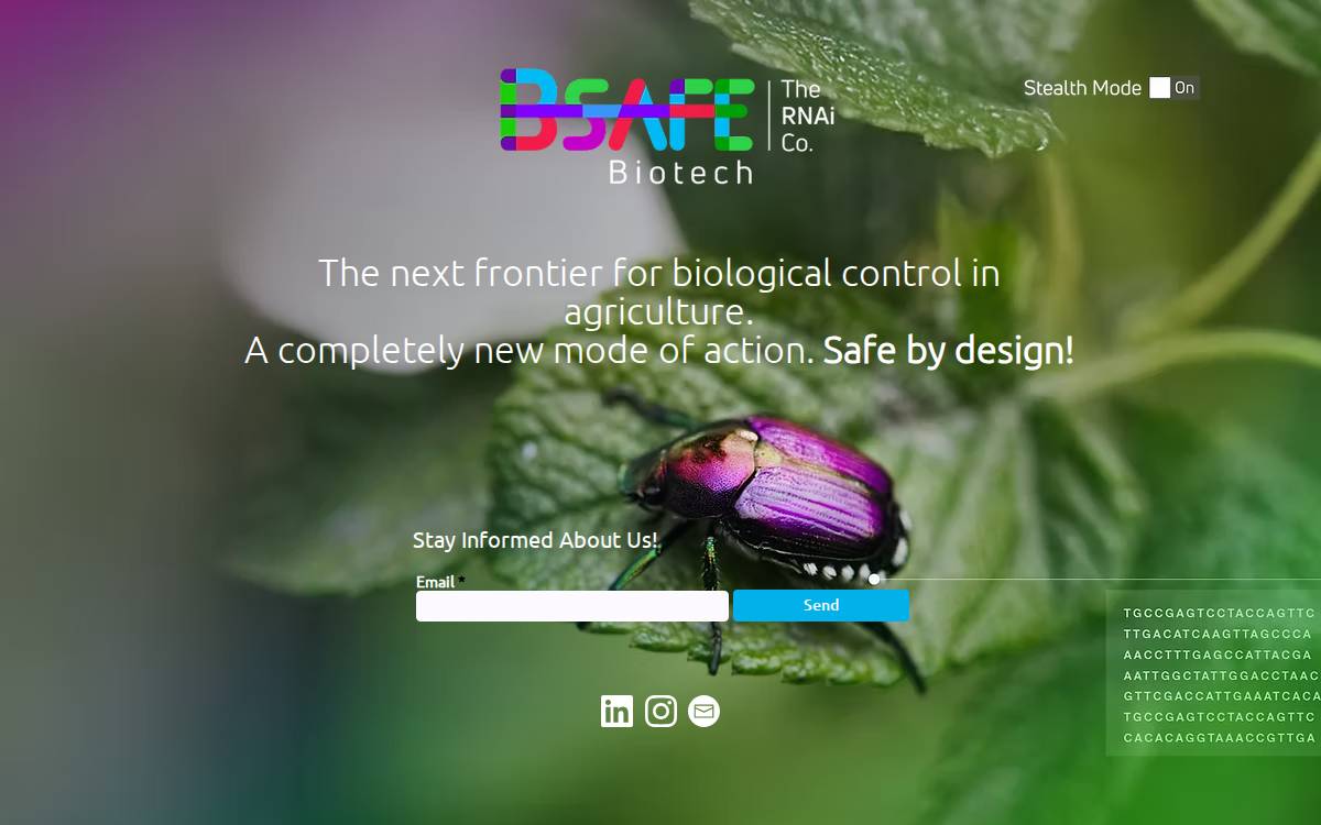 Bsafebiotech website preview