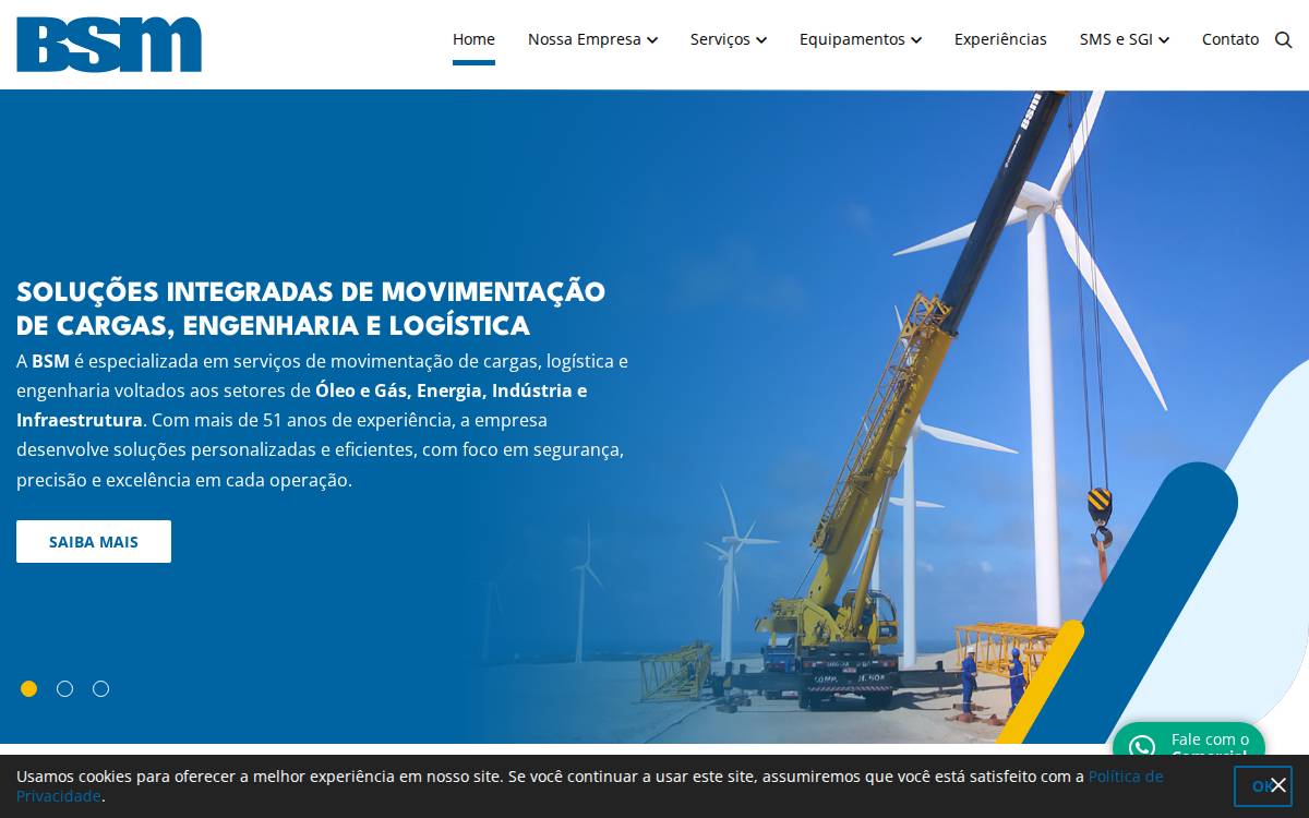 BSM website preview