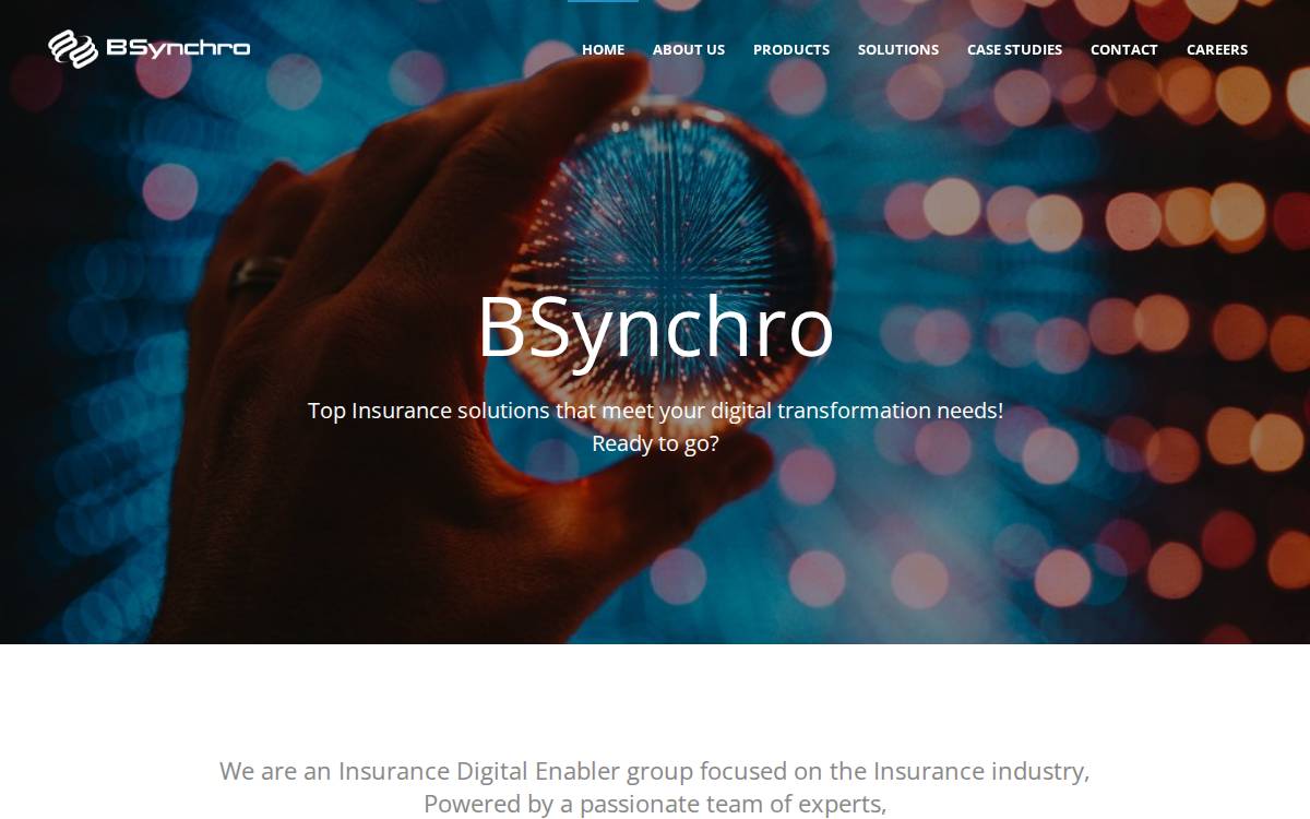 Bsynchro website preview