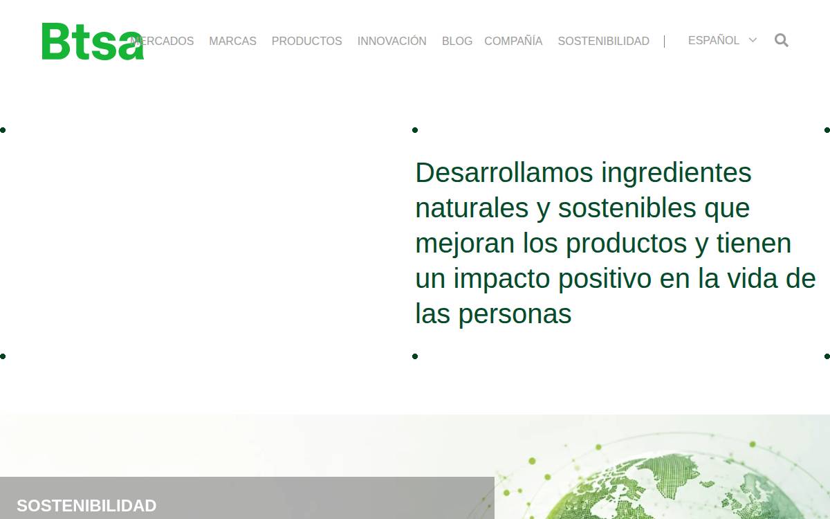 BTSA website preview