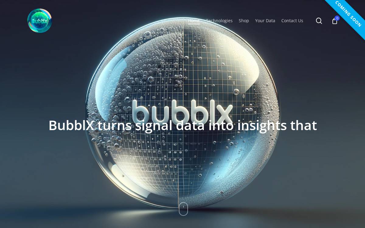 Bubblx website preview
