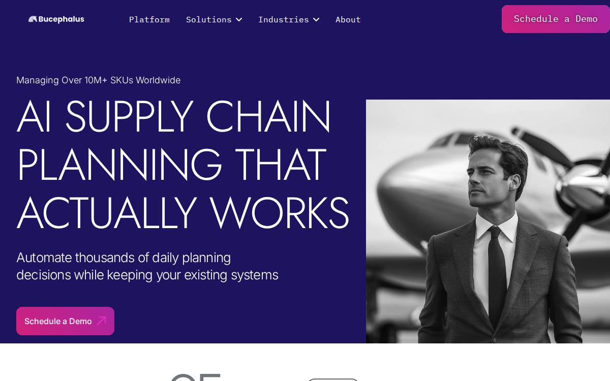 Bucephalus website preview