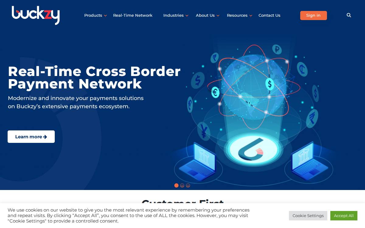 Buckzy website preview