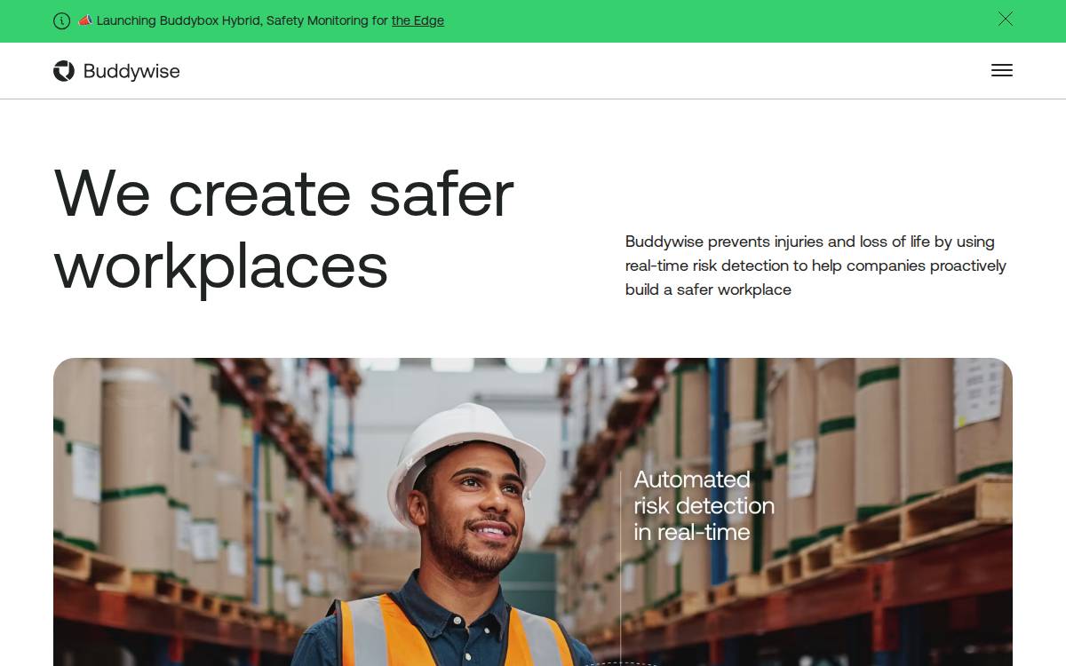 Buddywise website preview