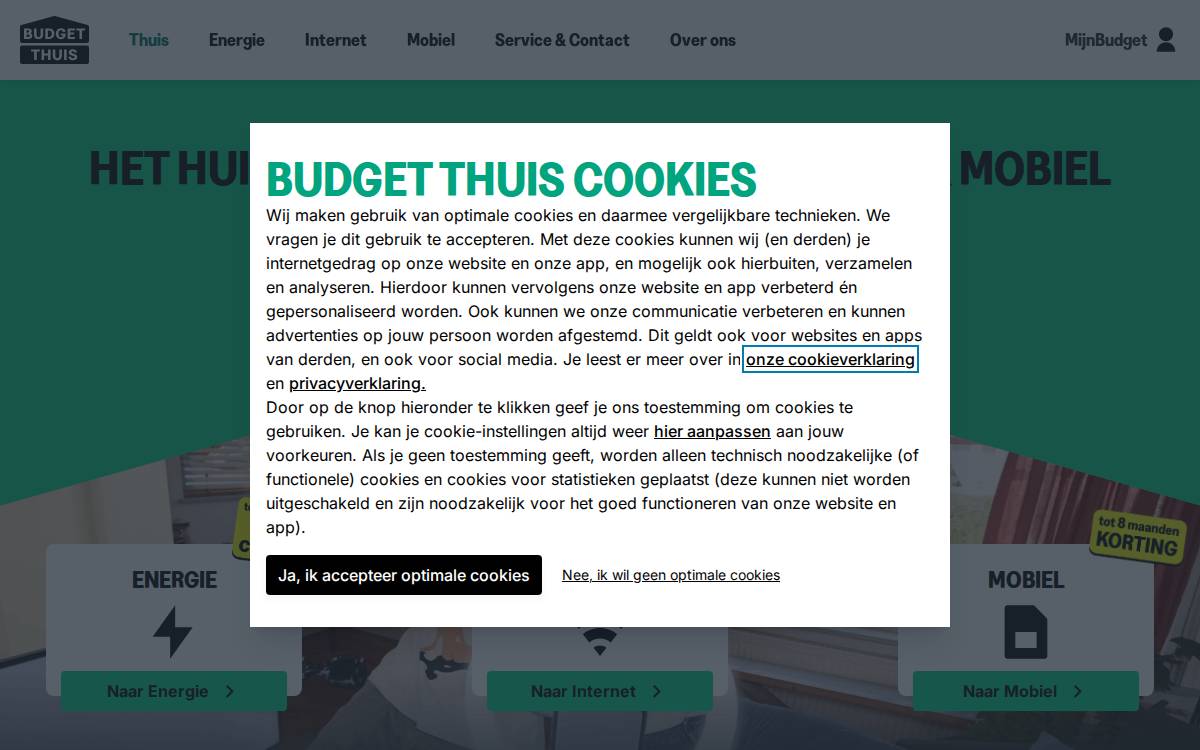 Budget website preview
