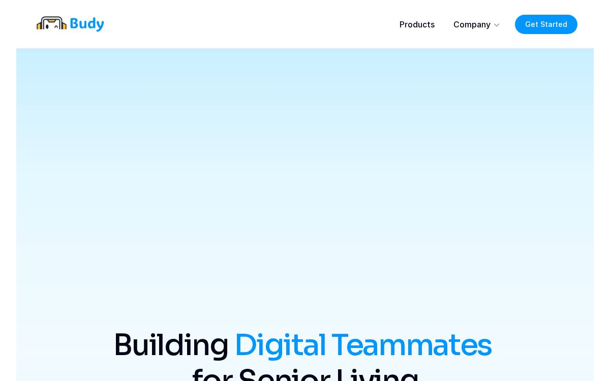 Budy website preview