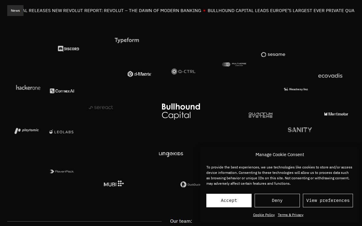 Bullhound Capital website preview
