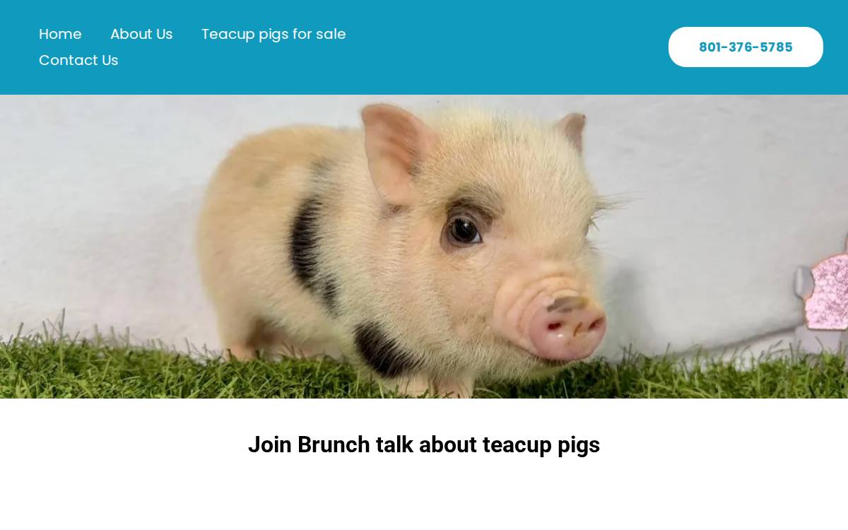 Bunch website preview