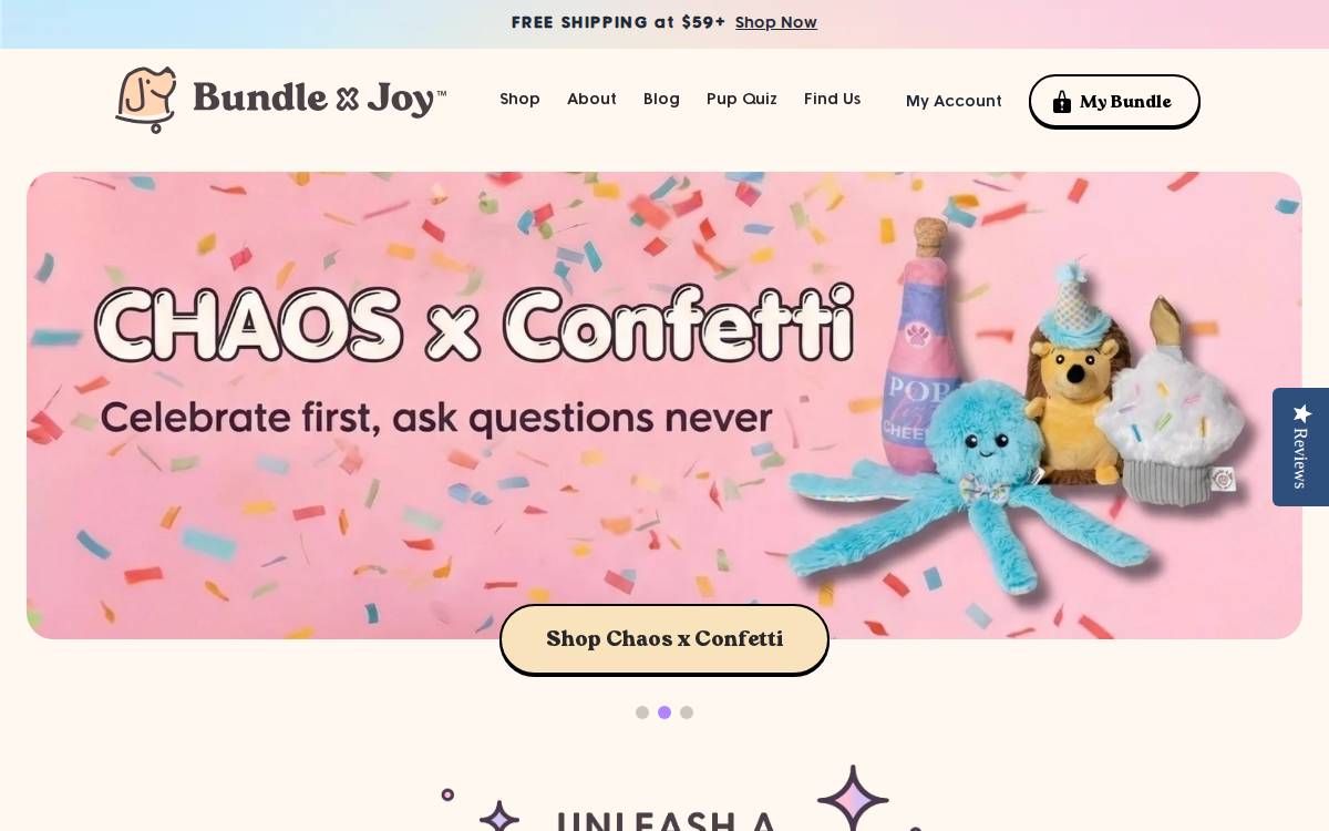 Bundle X Joy website preview