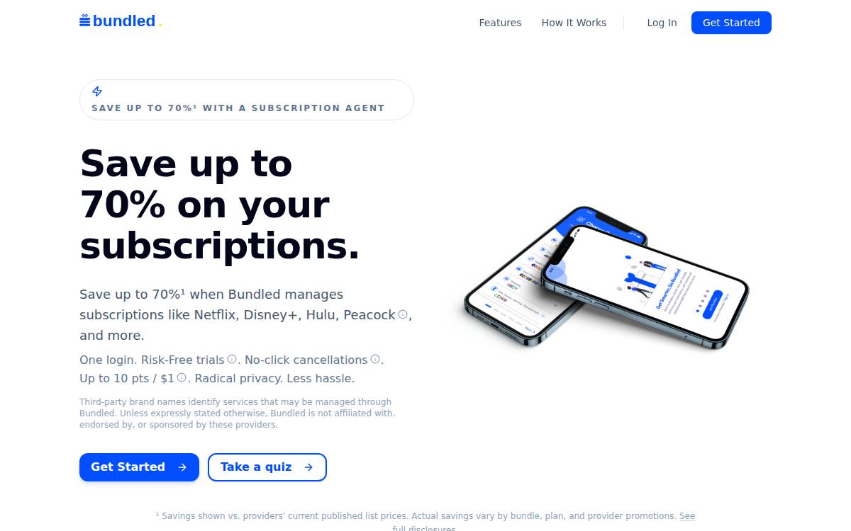 Bundled website preview