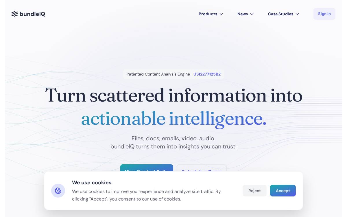 Bundleiq website preview
