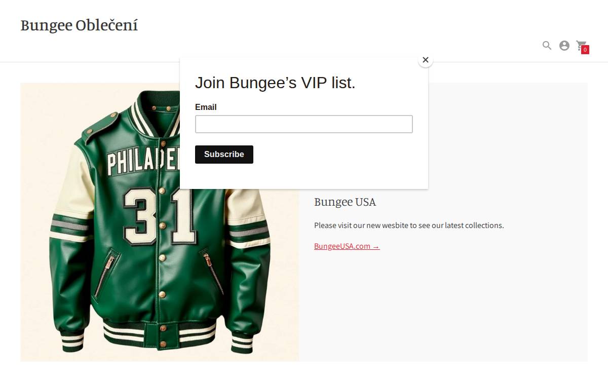 Bungee Brands website preview