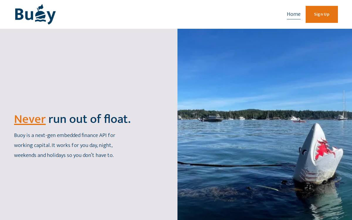 Buoy website preview