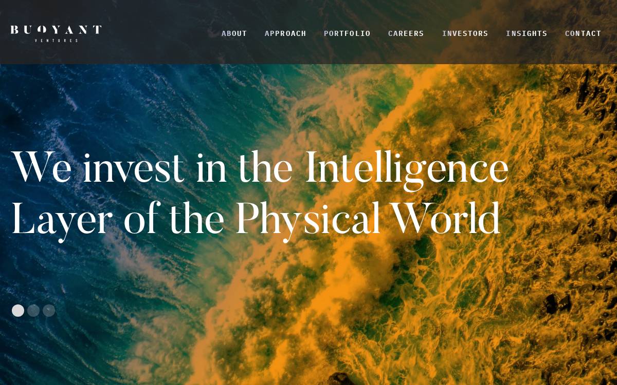 Buoyant website preview