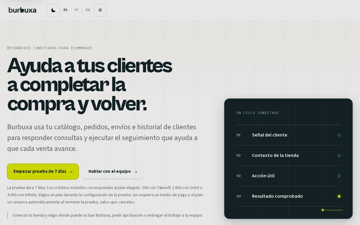 Burbuxa website preview