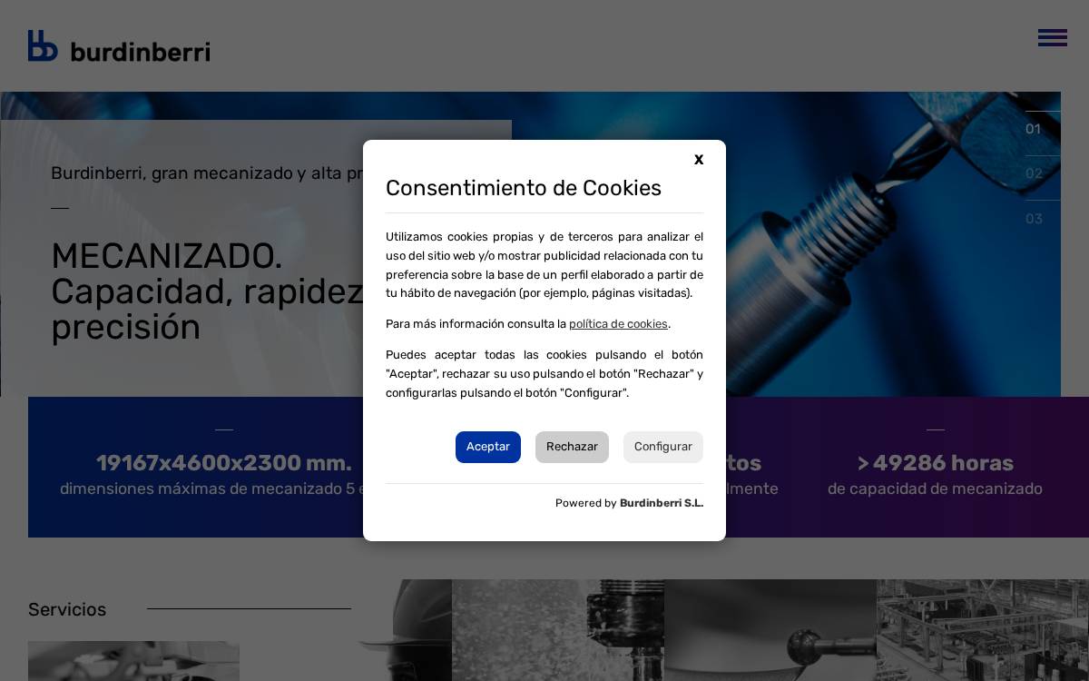 Burdinberri website preview