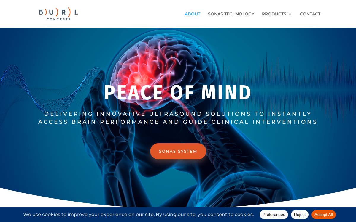 Burl Concepts website preview