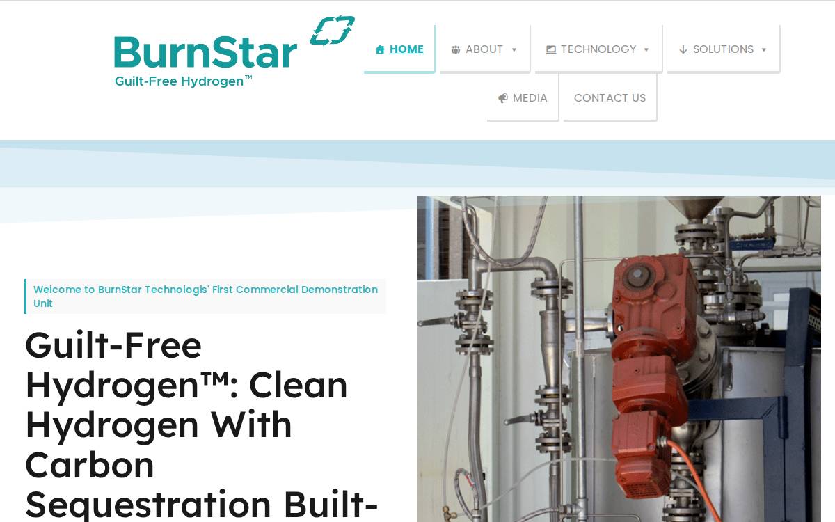 BurnStar website preview