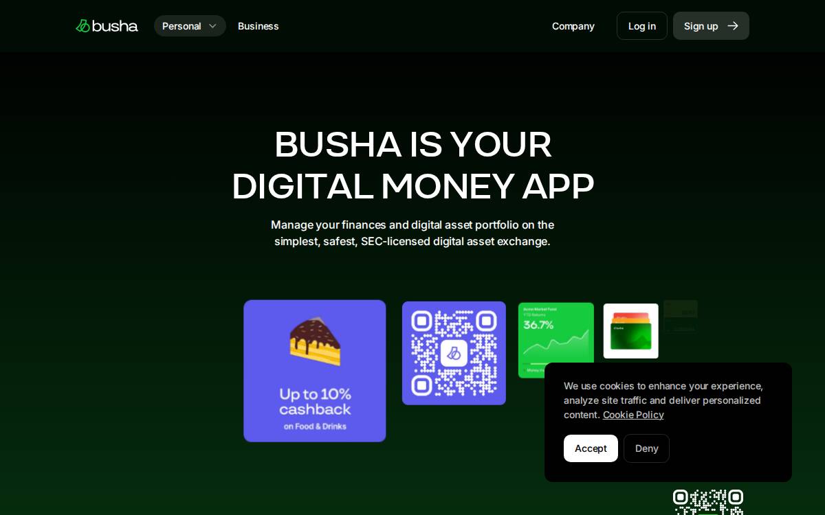 Busha website preview