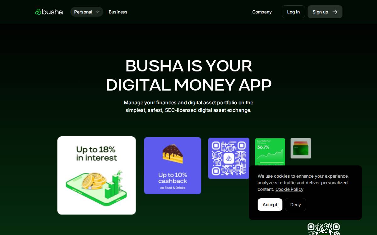 Busha website preview
