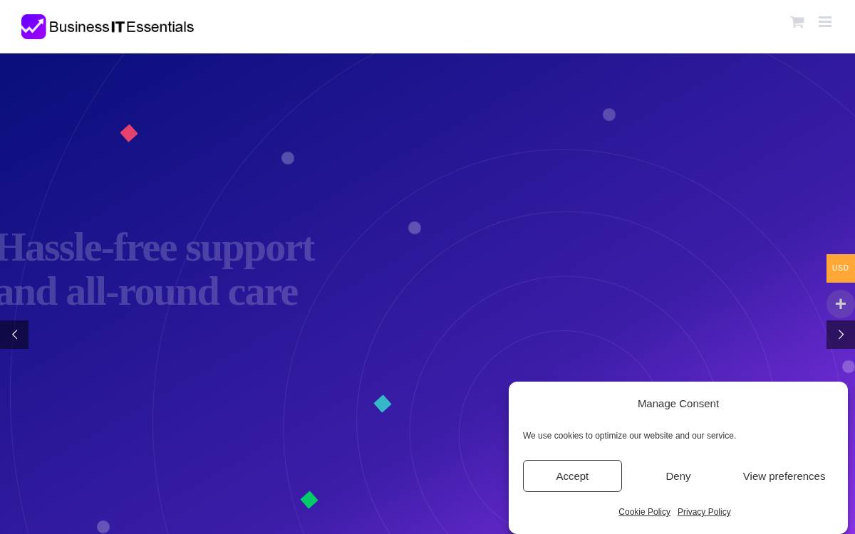 Business IT Essentials website preview