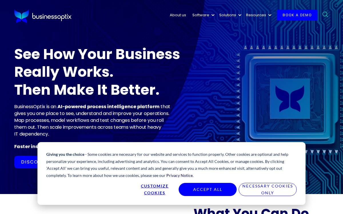 Business Optix website preview