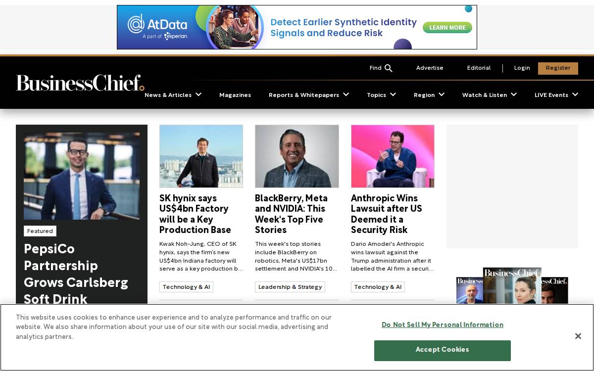 Businesschief website preview