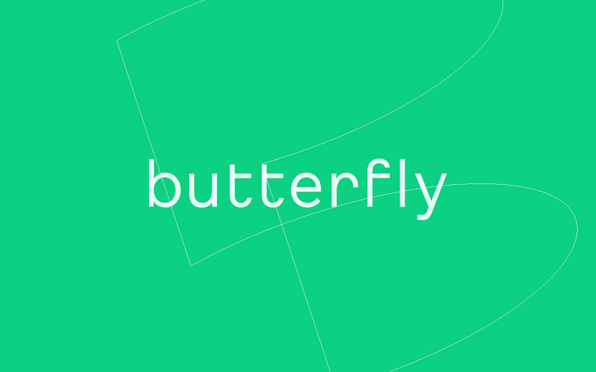 Butterfly Equity website preview