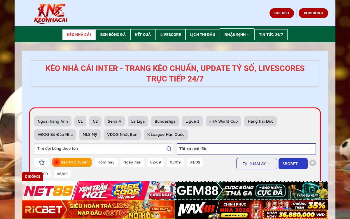 Buyk website preview