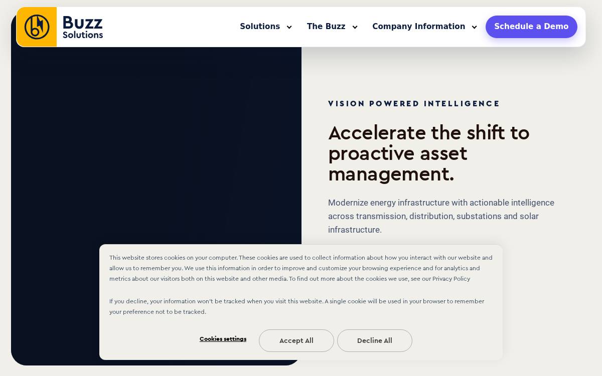 Buzz Solutions website preview