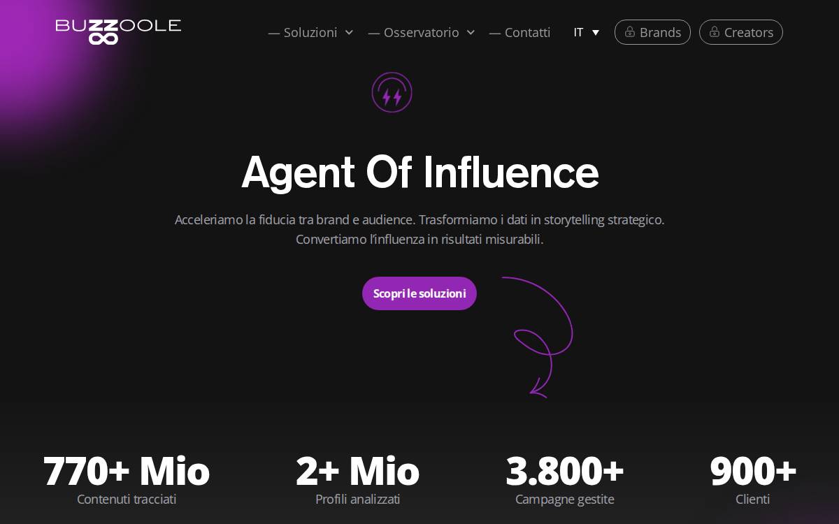 Buzzoole website preview