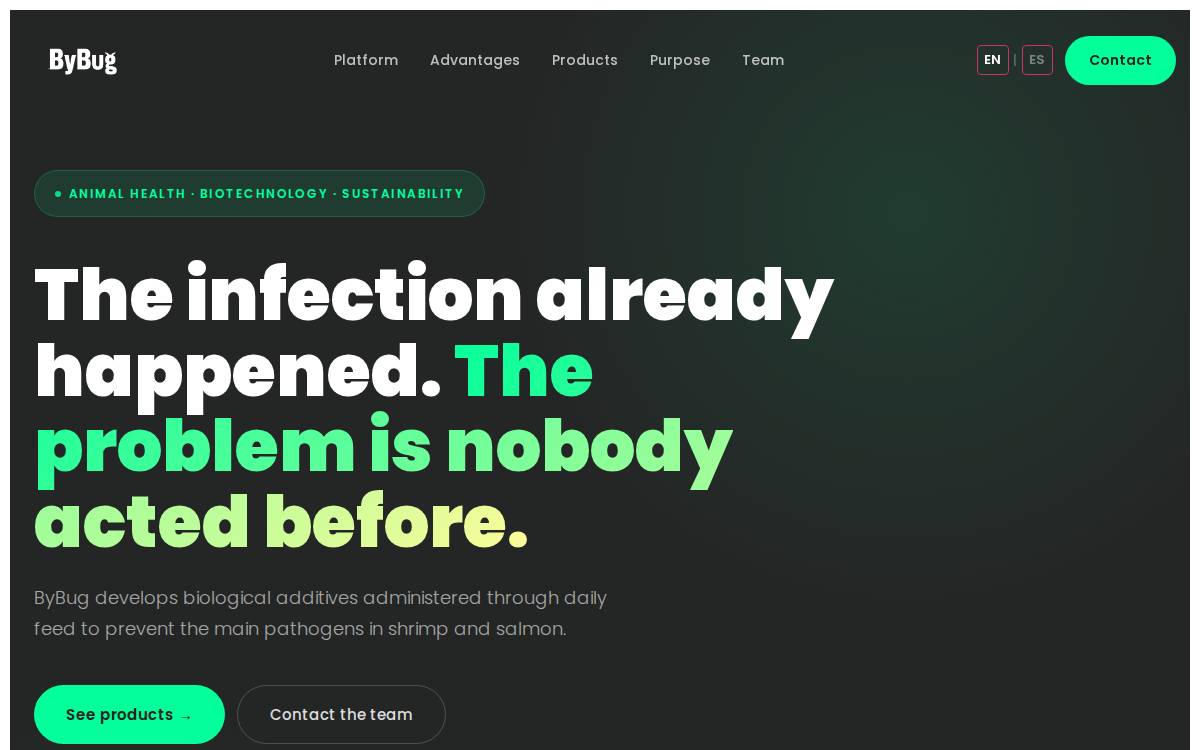 Bybug website preview