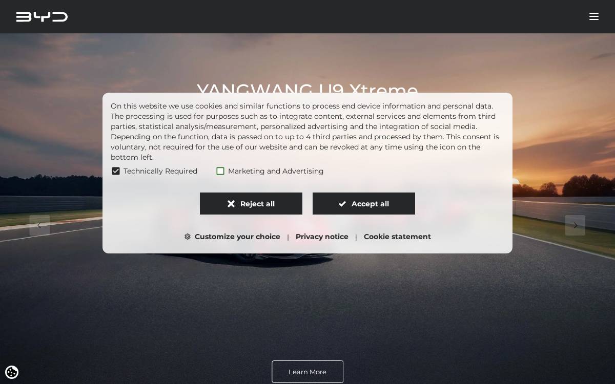 Byd website preview