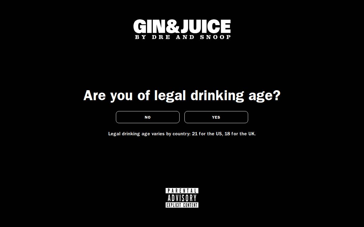 Bydreandsnoop website preview