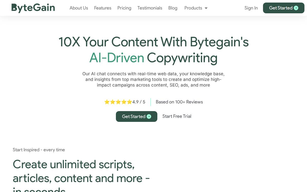 Bytegain website preview