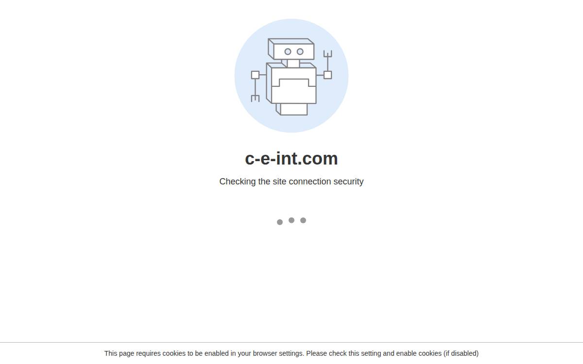 C E Int website preview