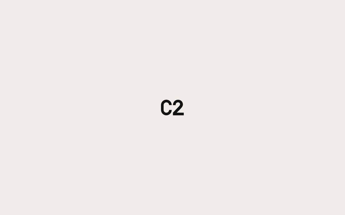 C2International website preview