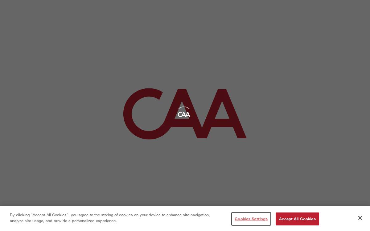 CAA website preview