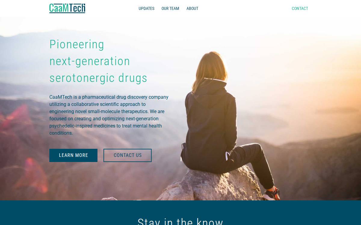 Caam website preview