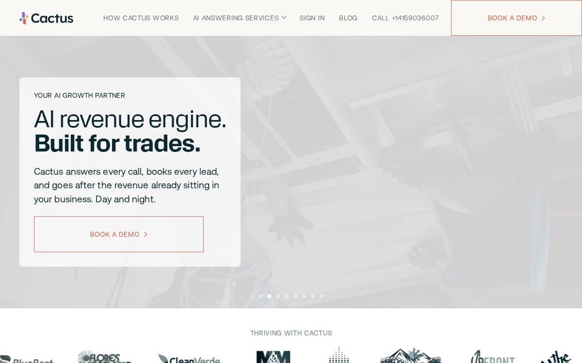 Cactus website preview